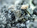 Argentopyrite, Pohla, Saxe, AllemagneX6,6mm69phCZ