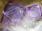 Fluorite, L'Argentolle, St Prix, Saône-et-LoireX8mm68phZS