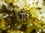 Monazite-(Ce), Trimouns, Luzenac, AriègeX5,1mm35ph