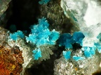 Rosasite, Ojuela, Mapimi, Durango, MexiqueX7,2mm65ph